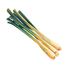 Sereh