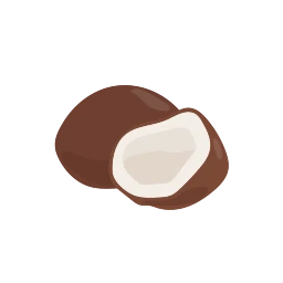 Daging Kelapa