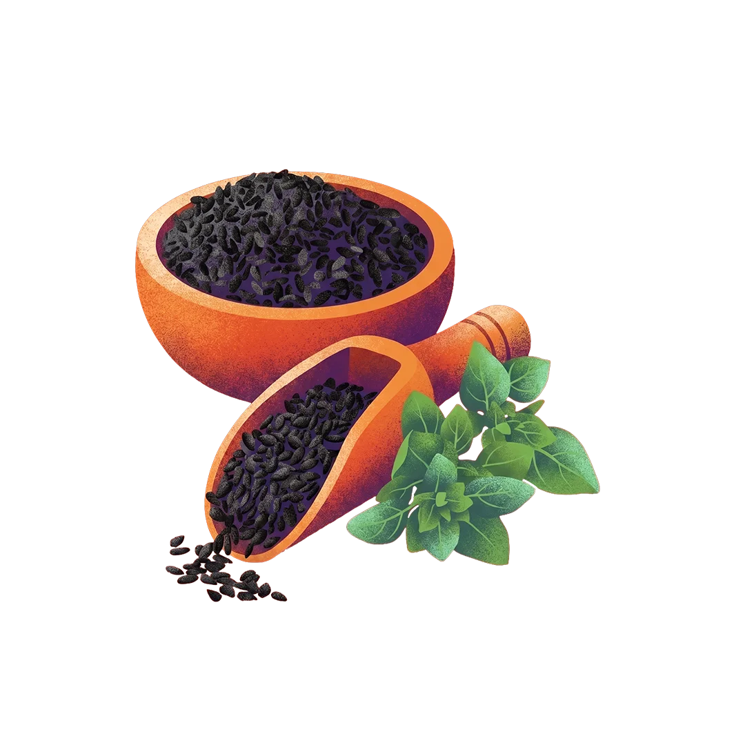 Jintan Hitam